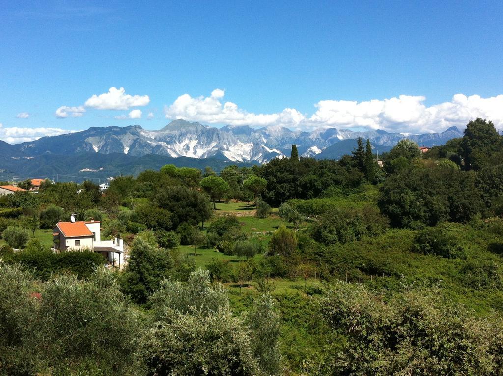 B&B Le Palme Ameglia Bagian luar foto