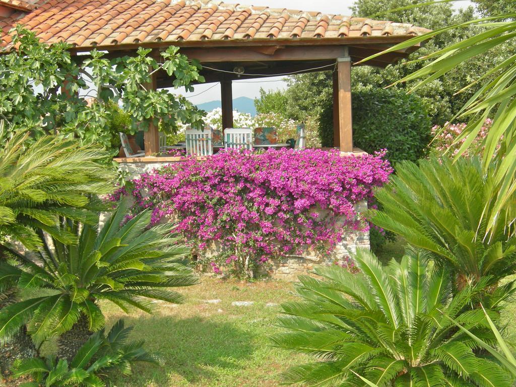 B&B Le Palme Ameglia Bagian luar foto