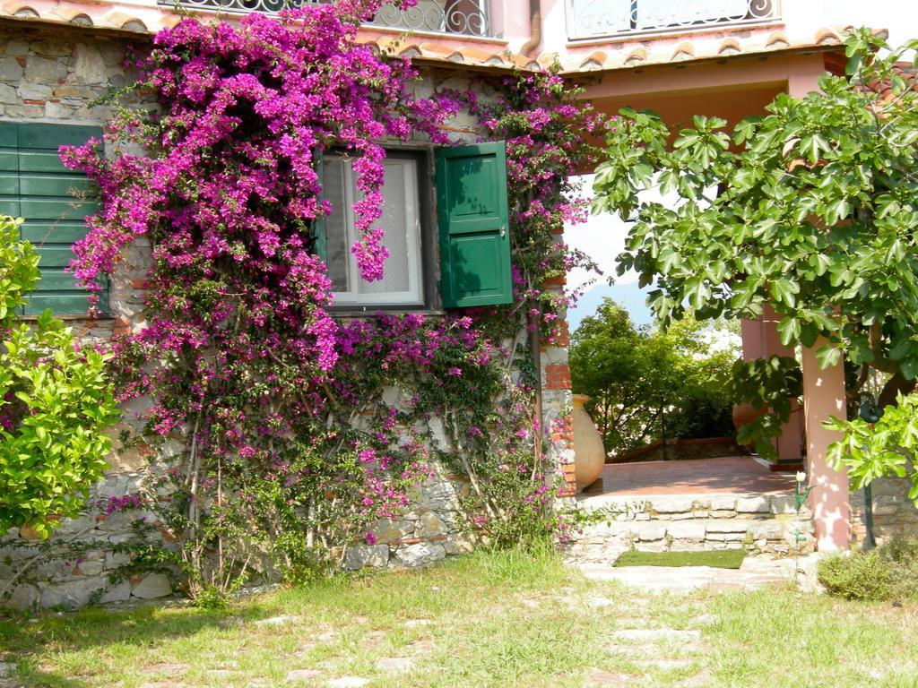 B&B Le Palme Ameglia Bagian luar foto