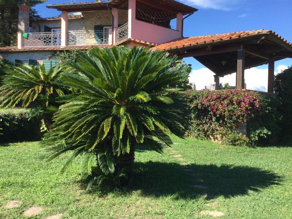 B&B Le Palme Ameglia Bagian luar foto