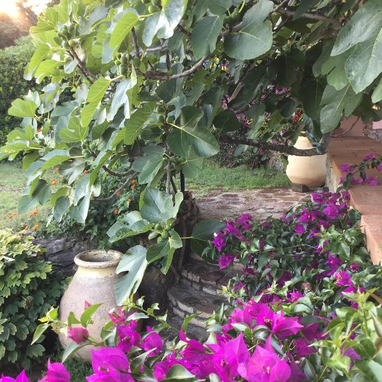 B&B Le Palme Ameglia Bagian luar foto
