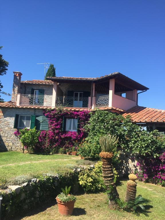 B&B Le Palme Ameglia Bagian luar foto